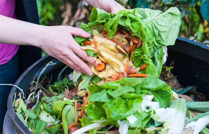 Estocolmo obriga separação de restos de alimentos; Medida visa geração de biogás e biofertilizantes