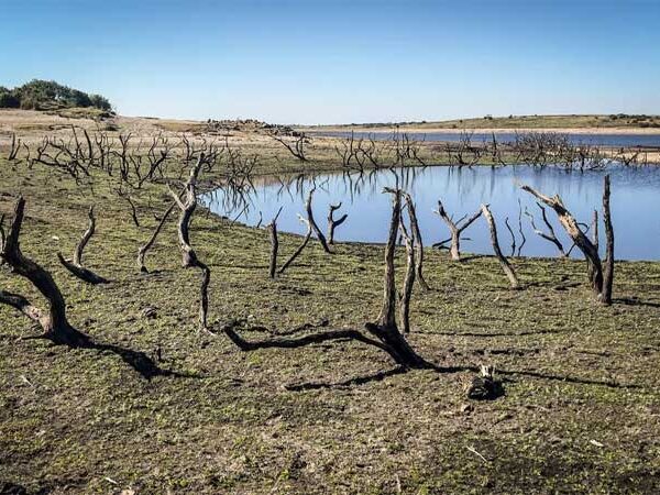 Quatro em cada cinco cidades do mundo estão sob risco por ondas de calor, inundações e seca