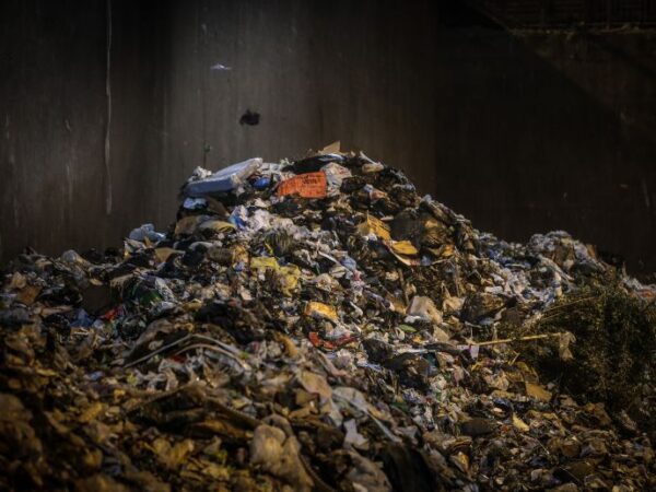 Degradação dos bioplásticos dificulta reciclagem, diz professor Carlos Bernardo