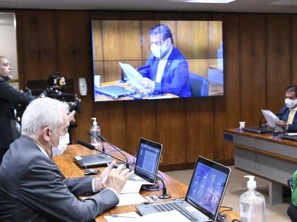 Proibição ao uso de animais em pesquisas e testes de cosméticos é aprovada pela Comissão de Assuntos Econômicos do Senado