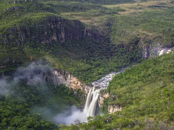 Cerrado pode perder um terço da água até 2050, aponta estudo