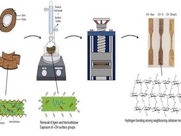 Bioplástico de casca de coco é fortes e biodegradáveis