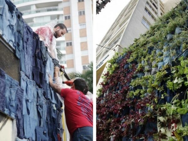 Movimento constrói jardim vertical de mais de 4 metros usando calças jeans velhas e ensina técnica para fazer em casa