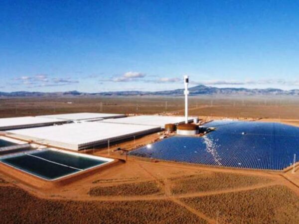 A fazenda que fica no meio do deserto e cultiva orgânicos usando água do mar