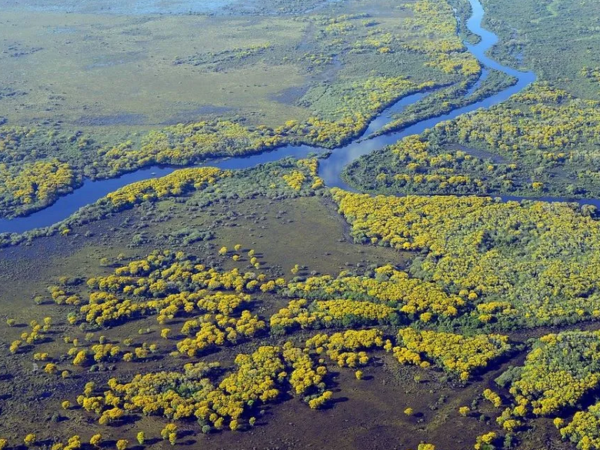 Berço de nascentes do Pantanal perdeu quase metade das áreas naturais