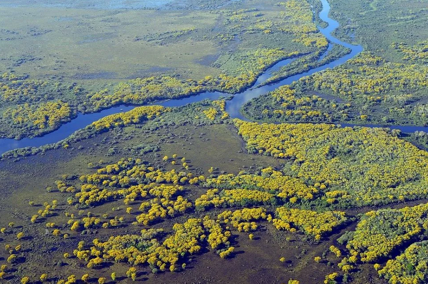 Berço de nascentes do Pantanal perdeu quase metade das áreas naturais