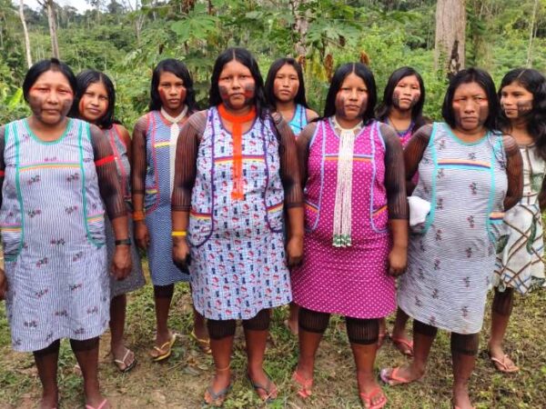 Iniciativas brasileiras lideradas por mulheres indígenas ganham prêmio da ONU de conservação ambiental