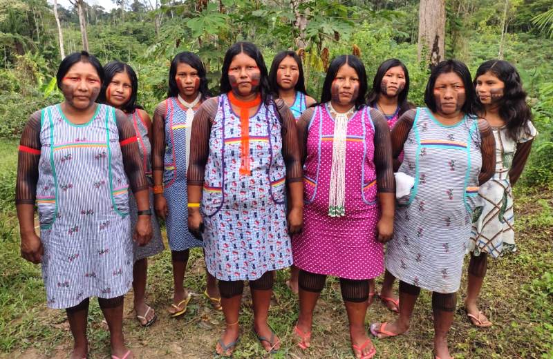Iniciativas brasileiras lideradas por mulheres indígenas ganham prêmio da ONU de conservação ambiental