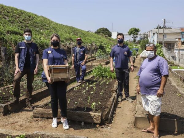 Jardins de Mel: projeto instala “colmeias artificiais” em espaços públicos para atrair abelhas de volta para cidade