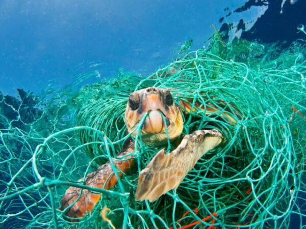 A linha de pesca perdida no oceano por ano dá para ir à lua e voltar