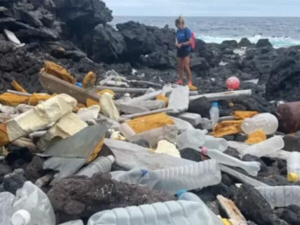 A remota ilha no Atlântico Sul que recebe lixo do mundo todo pelo mar