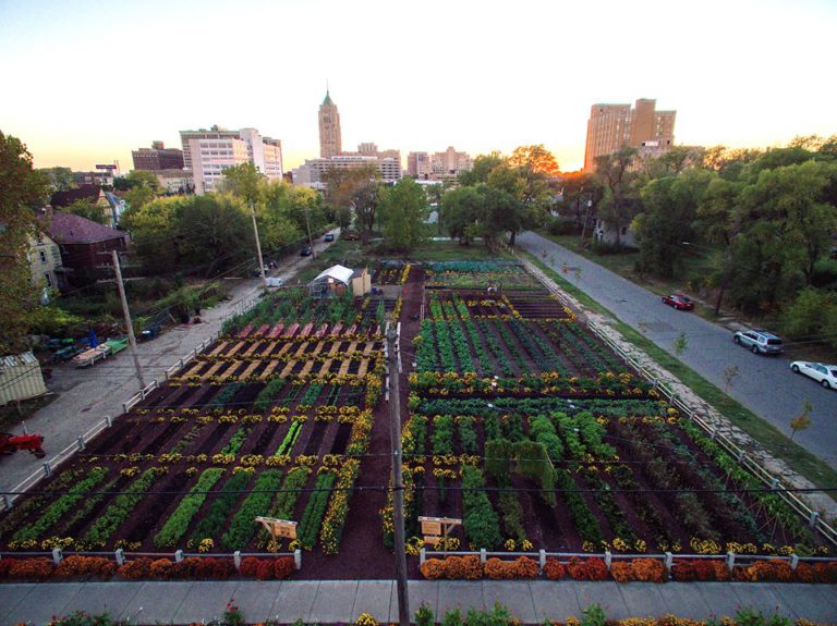 O primeiro “Agrihood” urbano dos EUA, em Detroit, alimenta 2.000 famílias em um raio de 2 milhas