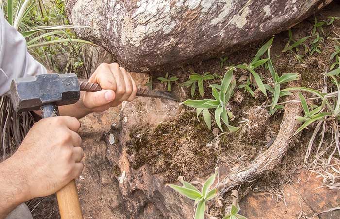 Micróbios descobertos no Brasil podem substituir agrotóxicos no futuro