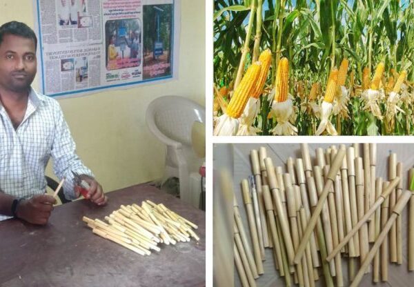 Homem transforma restos de milho em canetas biodegradáveis