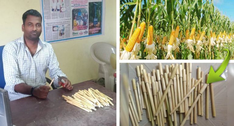 Homem transforma restos de milho em canetas biodegradáveis