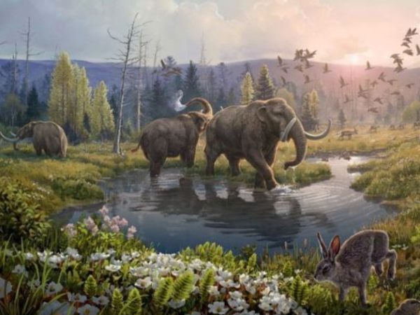 DNA de mais de 2 milhões de anos revela mundo perdido de Mastodontes na Groenlândia