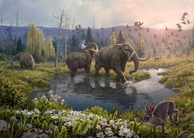 DNA de mais de 2 milhões de anos revela mundo perdido de Mastodontes na Groenlândia