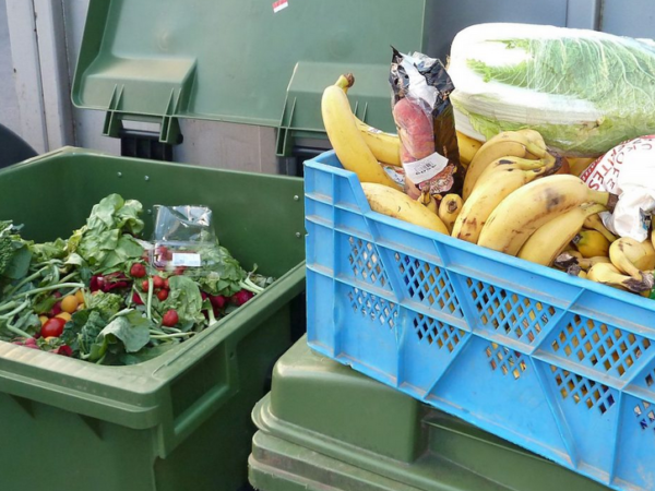 1/3 da comida produzida no mundo é desperdiçada, aponta estudo