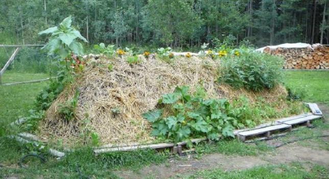 Canteiros íngremes de “Hugelkulture” podem produzir por décadas sem regar ou fertilizar