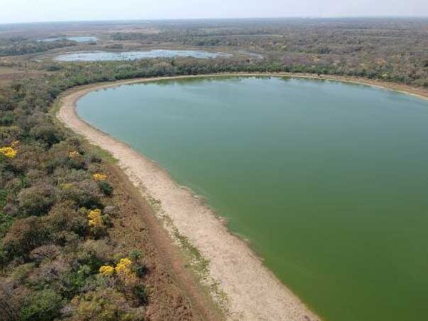 Pesquisas avaliam lagoas que ficam em locais remotos no Pantanal brasileiro