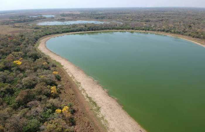 Pesquisas avaliam lagoas que ficam em locais remotos no Pantanal brasileiro