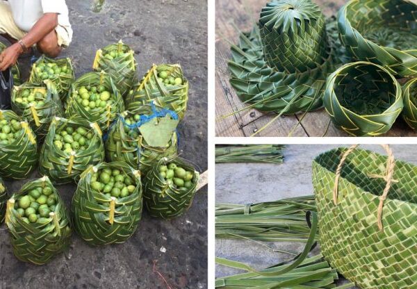 Mercados substituem sacolas plásticas e de pano por tecidos feitos com folhas de coco