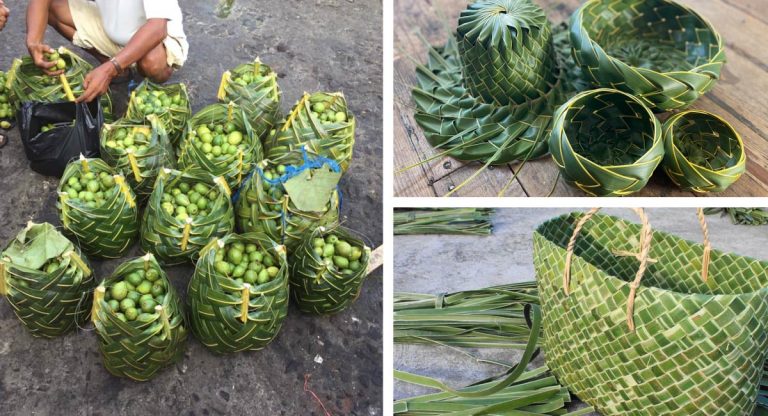 Mercados substituem sacolas plásticas e de pano por tecidos feitos com folhas de coco