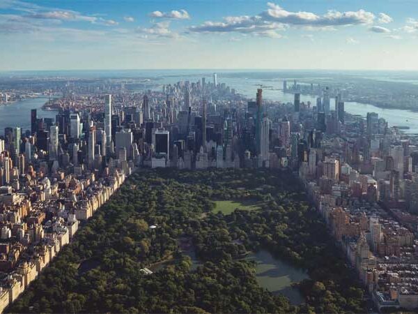 Vegetação de Nova York é capaz de absorver as emissões de carbono de todos os veículos da cidade