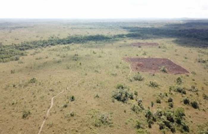 Cientistas aliam sensoriamento remoto a testes em campo para estudar efeito do fogo na savana amazônica