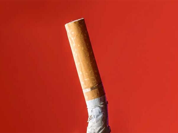 Bitucas de cigarro: pesquisadores usam fungos para neutralizar os resíduos de quem fuma