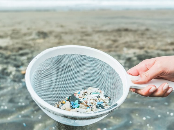 Microplásticos triplicaram no fundo do mar em 20 anos