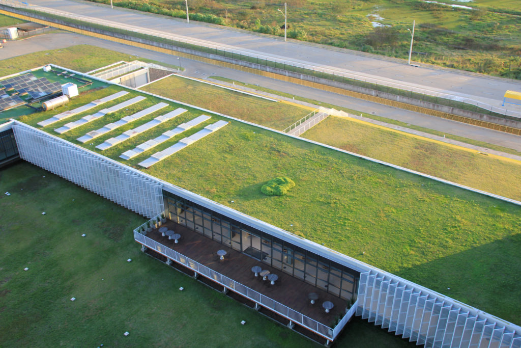 Como funciona um dos maiores telhados verdes da América Latina (veja fotos)