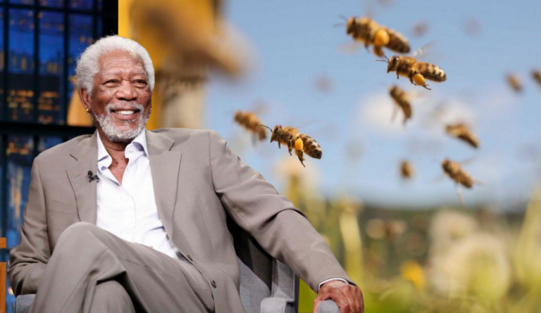 Morgan Freeman transforma sua fazenda de 120 acres em um santuário de abelhas