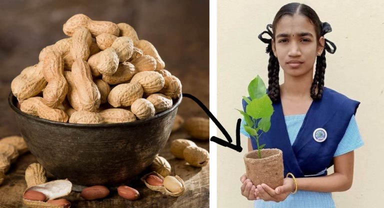 Menina de 14 anos transforma restos de amendoim em potes 100% biodegradáveis