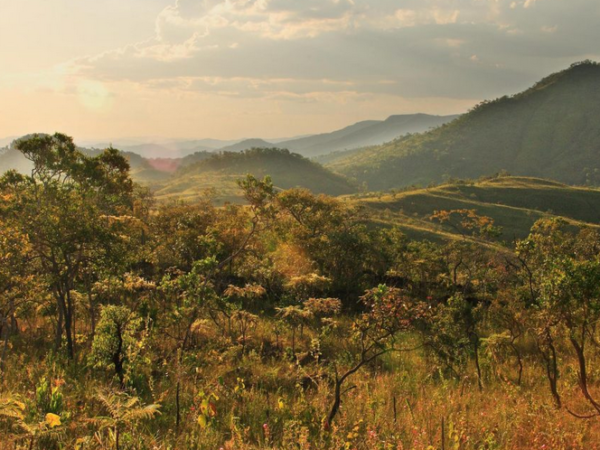 Desmatamento reduz as chuvas nas regiões tropicais