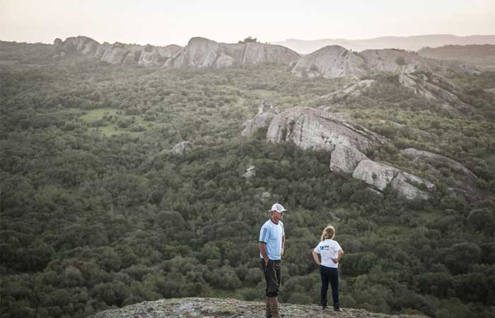 Estudo aponta presença de mais de 12,5 mil espécies no bioma Pampa