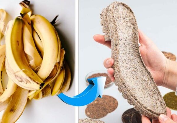 Mulher cria solado de sapato elástico biodegradável com casca de banana