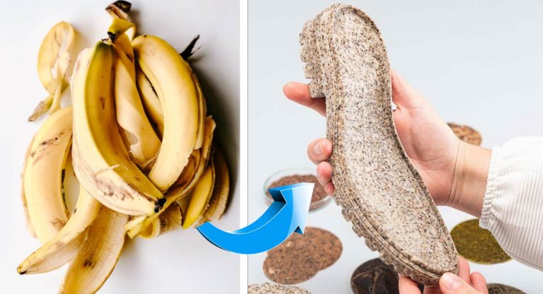 Mulher cria solado de sapato elástico biodegradável com casca de banana