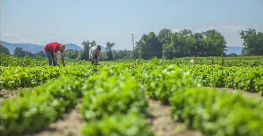 Novo centro da USP vai promover o desenvolvimento da agricultura sustentável nos biomas brasileiros