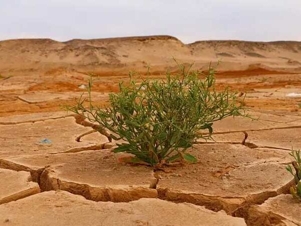 Grande evento climático pode gerar temperaturas recordes em todo o país