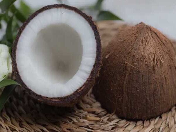 Bateria termal de coco ajuda a economizar no ar condicionado