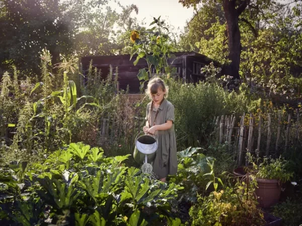 ‘Valorizando o Marginal’ no Design de Jardins de Permacultura