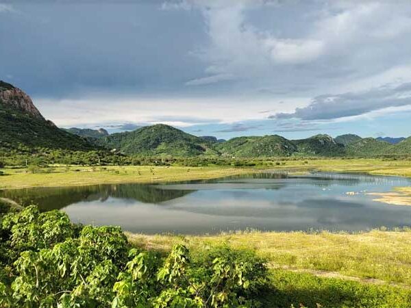 Na área mais desertificada do país, comunidade cria ‘oásis’ com ajuda da tecnologia dos cordões e barragens de pedra