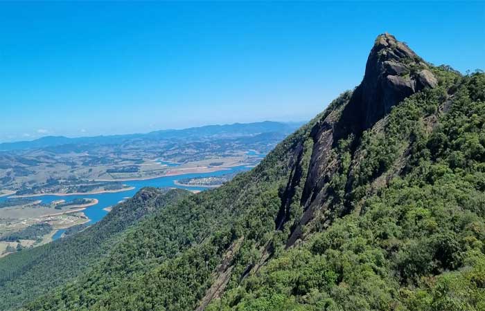 As 5 curiosidades sobre a Mata Atlântica que vão te surpreender