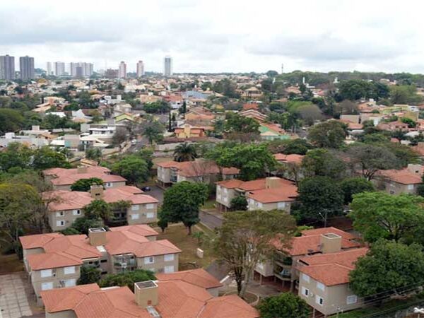 ‘Cidade das Árvores’: capital mais arborizada do mundo recebe projeto de educação ambiental