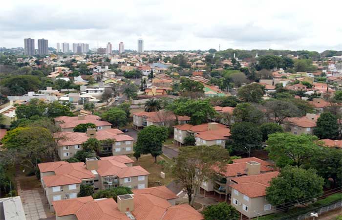 ‘Cidade das Árvores’: capital mais arborizada do mundo recebe projeto de educação ambiental