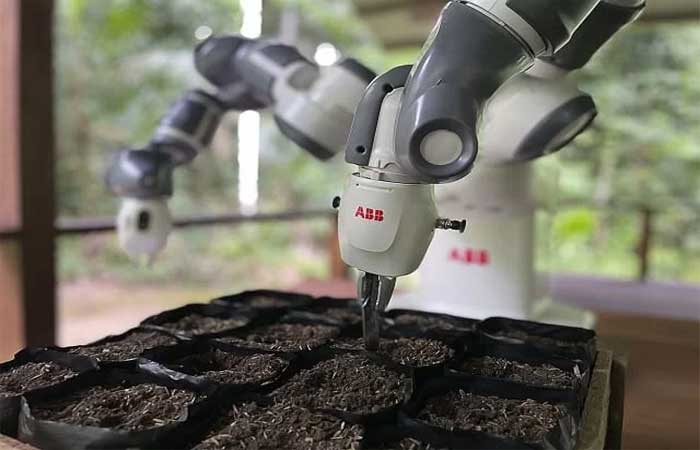 Como um robô está ajudando a reflorestar a Amazônia