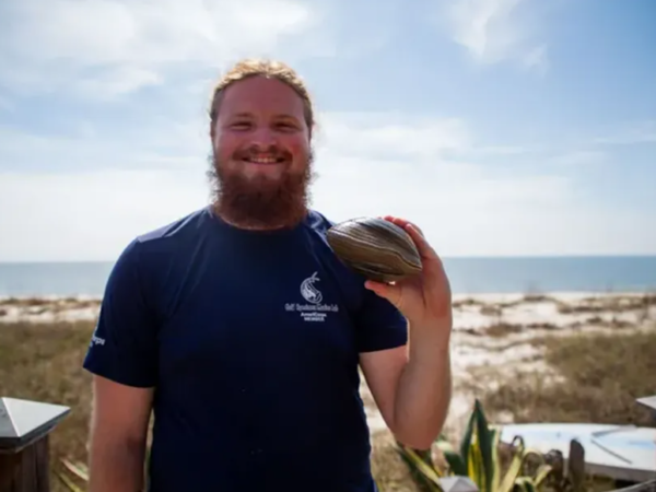 Homem encontra molusco gigante de 200 anos em praia da Flórida