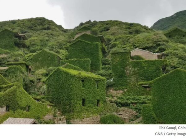 8 lugares abandonados oníricos sendo recuperados pela natureza