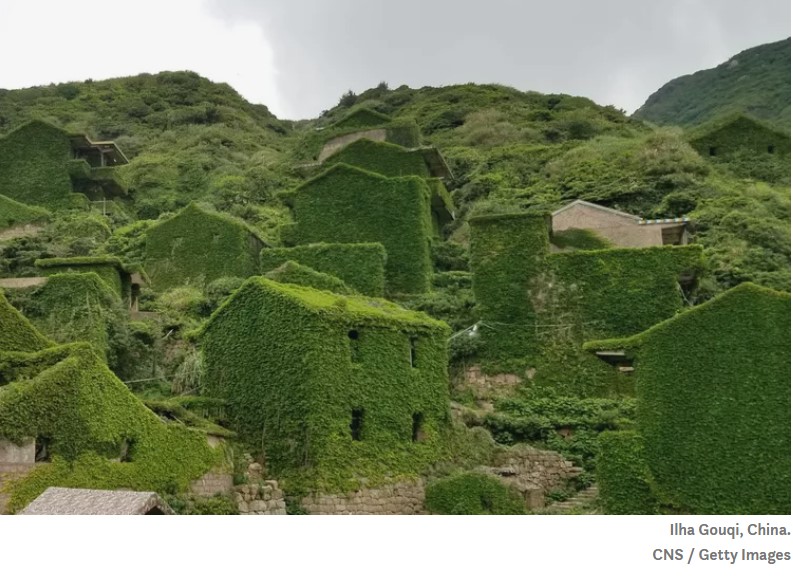 8 lugares abandonados oníricos sendo recuperados pela natureza